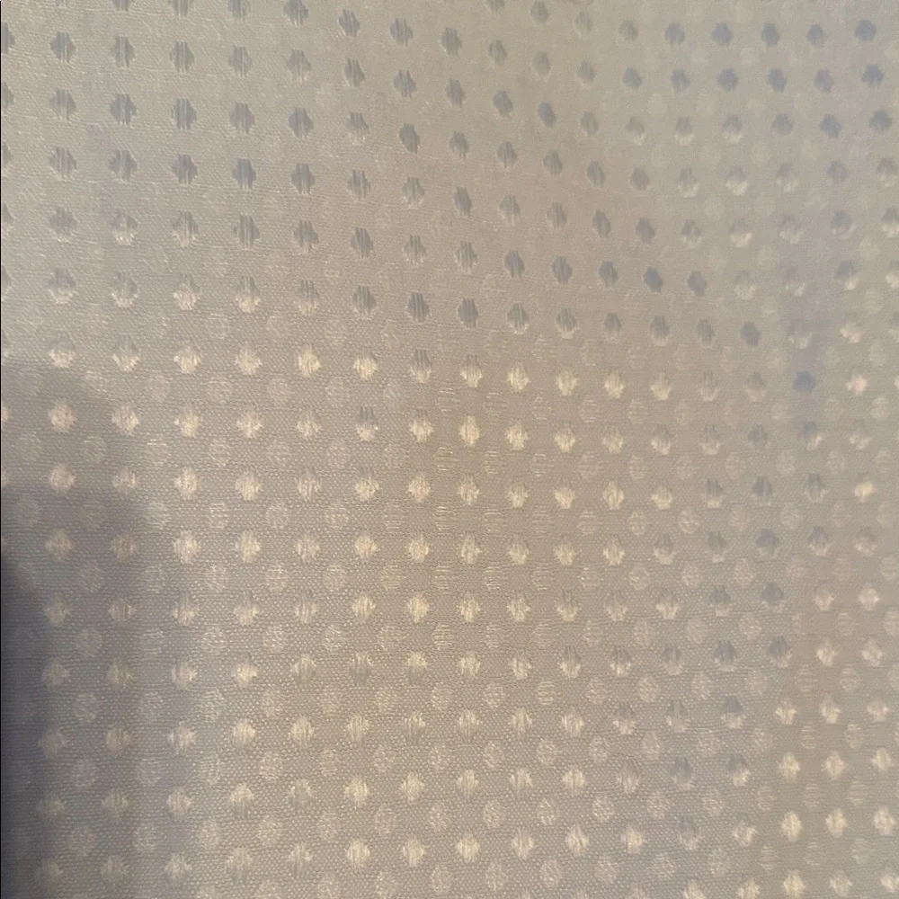 Extra Long White Shower Curtain